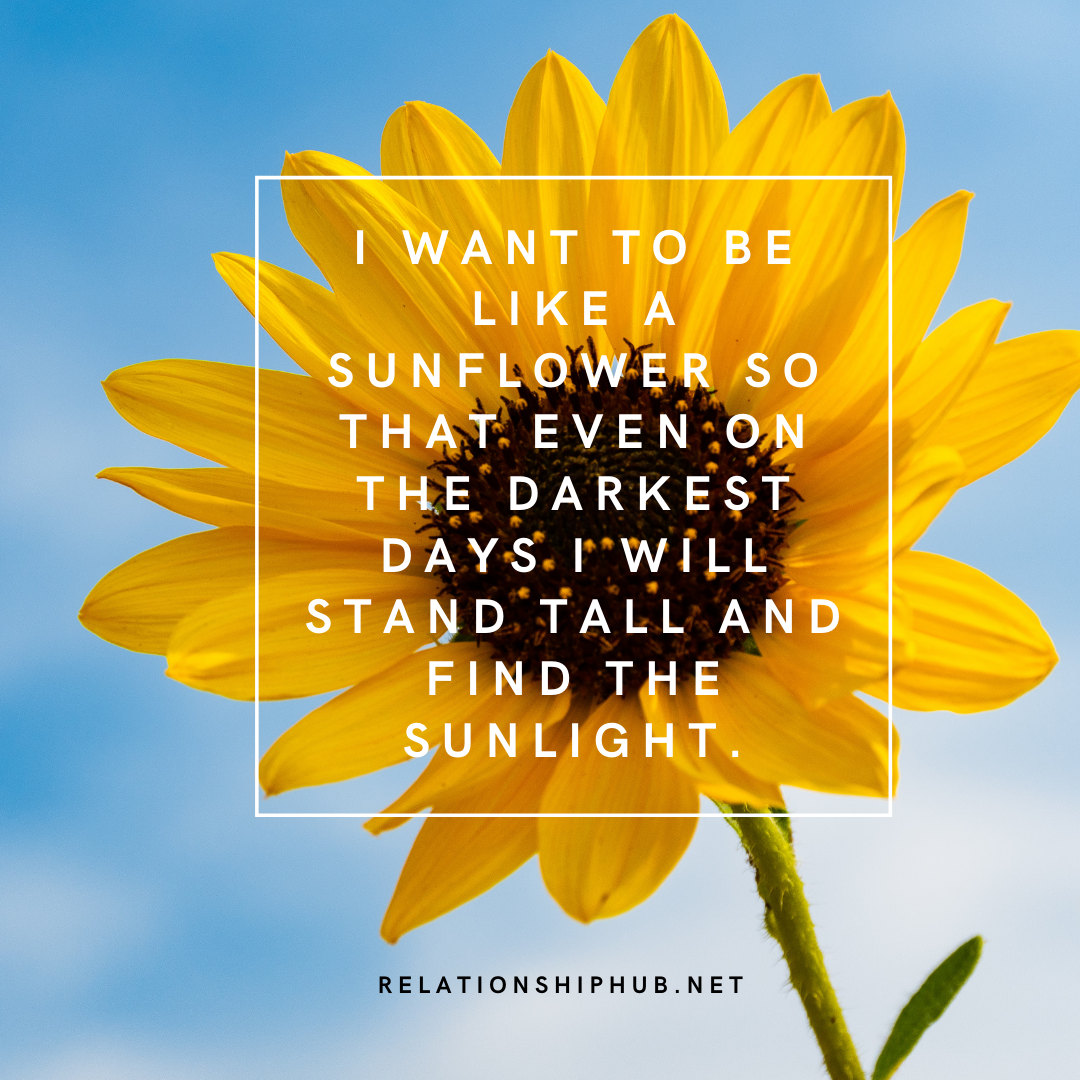 Grey Sunflower Quotes Grey Sunflower Quotes